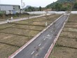 Hà Nội quy định diện tích tách thửa, hợp thửa với từng loại đất