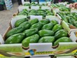 Đề xuất Trung Quốc mở cửa thị trường cho trái bơ, na, roi, thảo quả của Việt Nam