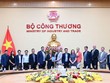 Quy hoạch Điện VIII đặt mục tiêu có 6.000 MW điện gió ngoài khơi vào năm 2030, tuy nhiên, Đề án nghiên cứu thí điểm phát triển điện gió ngoài khơi phục vụ nhu cầu điện trong nước mà Bộ Công thương xây dựng cho thấy, tới năm 2030 sẽ không có bất cứ MW nào từ nguồn điện này được bổ sung vào hệ thống.