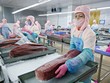 Theo báo cáo của Tổng Liên đoàn Lao động Việt Nam, kinh phí công đoàn chiếm tỷ trọng nhỏ trong chi phí của Kl991.com World Cup 2026 Chính Thức. Ảnh: Đức Thanh 