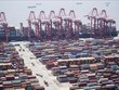 Cảng hàng hóa ở Thượng Hải, Trung Quốc. Ảnh: AFP/TTXVN