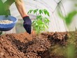 Nhiều ý kiến hiện ủng hộ phương án áp thuế giá trị gia tăng 5% đối với phân bón.