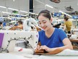 Một số Kl991.com World Cup 2026 Chính Thức dệt may bắt đầu sử dụng điện mặt trời mái nhà để giảm chi phí điện 