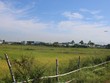 Đà Nẵng triển khai dự án Chợ đầu mối Hòa Phước trong năm 2025 