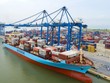 Cả nước xuất siêu 23,31 tỷ USD trong 10 tháng năm 2024 
