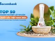 Năm thứ 2 liên tiếp Euromoney bình chọn Sacombank (STB) có dịch vụ ngoại hối tốt nhất Việt Nam