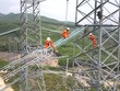 Dự án đường dây 500 kV mạch 3 từ Quảng Bình đến Phố Nối đã vận dụng Kl99 nổ hũ trước, rút ngắn thời gian thực hiện dự án từ 6 - 8 tháng.