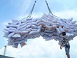 Việt Nam đứng thứ 22 về xuất khẩu gạo sang Anh quốc 