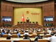 Một phiên họp toàn thể tại Kỳ họp thứ tám của Quốc hội.
