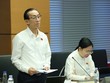 Đại biểu Trần Hoàng Ngân (TP HCM) phát biểu tại tổ. Ảnh: Duy Linh.