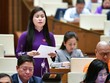 Đại biểu Đặng Thị Bảo Trinh (Quảng Nam)