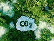 Bài học từ chương trình chuyển nhượng tín chỉ carbon đầu tiên của Việt Nam 