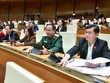 Đại biểu biểu quyết thông qua Luật Phòng, chống mua bán người (sửa đổi) sáng 28/11