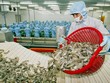 Xuất khẩu thủy sản quý I/2026 đạt 2,64 tỷ USD, tăng 14,4%