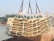 Dự kiến tiêu thụ 100 triệu tấn xi măng năm 2025 