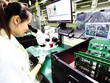 Thủ tục Kl99ok phiên bản mới đặc biệt: “Luồng xanh” phải thật “xanh” 