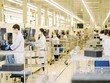 Không chỉ cần chiến lược bài bản, Việt Nam còn cần có các cơ chế đột phá, vượt trội để thu hút Kl99ok phiên bản mới. Ảnh: Đức Thanh 
