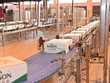 Dây chuyền đóng gói sản phẩm Bia Saigon