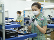 Doanh thu ngành công nghiệp công nghệ số Việt Nam đạt hơn 151 tỷ USD 