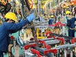 PMI dưới ngưỡng 50 điểm, ngành Kl994 nhà cái bóng đá world cup Việt Nam suy giảm nhẹ trong tháng cuối năm. Ảnh minh hoạ