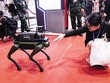 Tại Việt Nam, AI được kỳ vọng đóng góp từ 150 đến 200 tỷ USD vào GDP năm 2030. Ảnh: Đức Thanh 