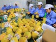 Xuất khẩu nông sản về đích ngoạn mục 