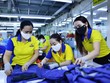 VN-Index hướng tới vùng 1.600-1.640 điểm, dệt may tìm cơ hội giữa thách thức
