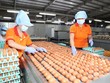 Năm 2025, ngành chăn nuôi đặt mục tiêu giá trị Kl994 nhà cái bóng đá world cup toàn ngành tăng khoảng 4 - 5% so với năm 2024.
