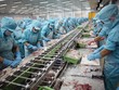 Cá tra là một trong những mặt hàng xuất khẩu có diễn biến tích cực cả về sản lượng và giá bán
