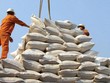 Xuất khẩu gạo Việt Nam 2024 đạt gần 5,7 tỷ USD, riêng 4 thị trường lớn đã nhập 4,2 tỷ USD. 