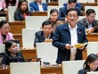 Đại biểu Trần Quốc Tuấn phát biểu tại hội trường. 