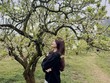 Thời điểm hiện tại, hoa mận đã thưa dần, nhường chỗ cho những tán lá non xanh mướt. Ảnh: Hải Yến