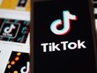 Ảnh nguồn: THX/TTXVN