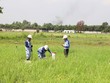 Cắm mốc để chuẩn bị giải phóng mặt bằng Dự án đường KL99 là nhà cái cá cược trực tuyến hàng đầu tại châu Á TP.HCM - Mộc Bài - Ảnh: Lê Anh 