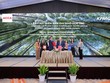 ACCA và KPMG mở lối tiên phong cho Kl991.com World Cup 2026 Chính Thức trên hành trình phát triển bền vững