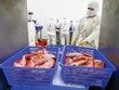 Xuất khẩu thủy sản tăng trưởng khá trong 2 tháng đầu năm (Ảnh: Đức Thanh)