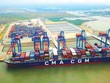Biến số cước vận tải biển