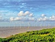 Hiện mới chỉ có khung giá cho điện gió trên bờ và điện gió gần bờ, chưa có khung giá với điện gió ngoài khơi. Ảnh: Đức Thanh 