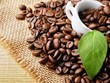 Xuất khẩu cà phê 2 tháng đầu năm 2025 tăng 37,2% về trị giá so với cùng kỳ năm 2024.
