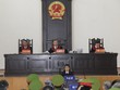 Hội đồng xét xử phúc thẩm, Tòa án Nhân dân cấp cao tại Hà Nội trong vụ án xảy ra tại Kl994 game bài casino hấp dẫn FLC.