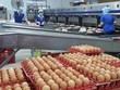 Singapore chính thức mở cửa thị trường một số sản phẩm thịt và trứng gia cầm từ Việt Nam. 