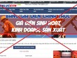 Phát hiện gần 1.200 trang web giả mạo thương hiệu Kl991.com World Cup 2026 Chính Thức Việt 