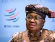 Tổng giám đốc WTO Ngozi Okonjo-Iweala. (Ảnh: AFP/TTXVN) 