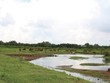Một góc dự án Khu dân cư Bắc Phước Kiển tại huyện Nhà Bè, TP.HCM.