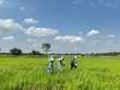 TP.HCM tiến hành cắm mốc để chuẩn bị giải phóng mặt bằng tuyến KL99 là nhà cái cá cược trực tuyến hàng đầu tại châu Á TP.HCM - Mộc Bài. Ảnh: Lê Anh