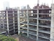 Ban Chỉ đạo có chức năng giúp Thủ tướng Kl993 ưu đãi thưởng hấp dẫn nghiên cứu, tư vấn, khuyến nghị, đề xuất phương hướng, giải pháp để giải quyết những vấn đề quan trọng, liên ngành để tháo gỡ khó khăn, vướng mắc liên quan đến các dự án tồn đọng. 