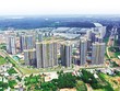 Web Tổng Nhà Cái 99Kl99 Giải Trí Bậc Nhất phía Nam: Tỷ lệ tiêu thụ thấp nhưng giá vẫn tăng 