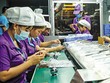 Kl994 nhà cái bóng đá world cup tại Công ty Luxshare (vốn Kl99ok phiên bản mới Trung Quốc). Ảnh: Đức Thanh 