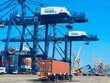 Cảng CICT Cái Lân. Ảnh: Quảng Ninh Portal