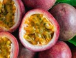 Việt Nam-Trung Quốc ký kết thêm 4 nghị định thư nông nghiệp 